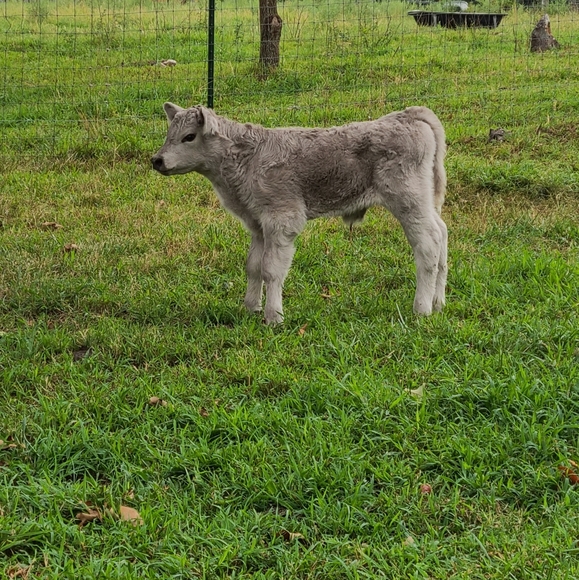 My Babies 😍❤ - Picture 11 of 13